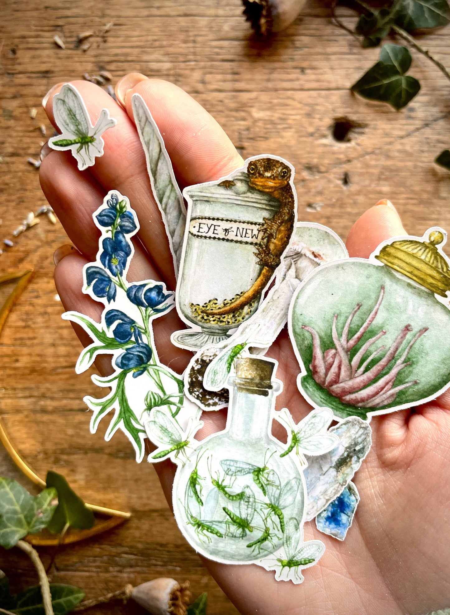 Potion Making Ingredients Matt Vinyl Sticker Set