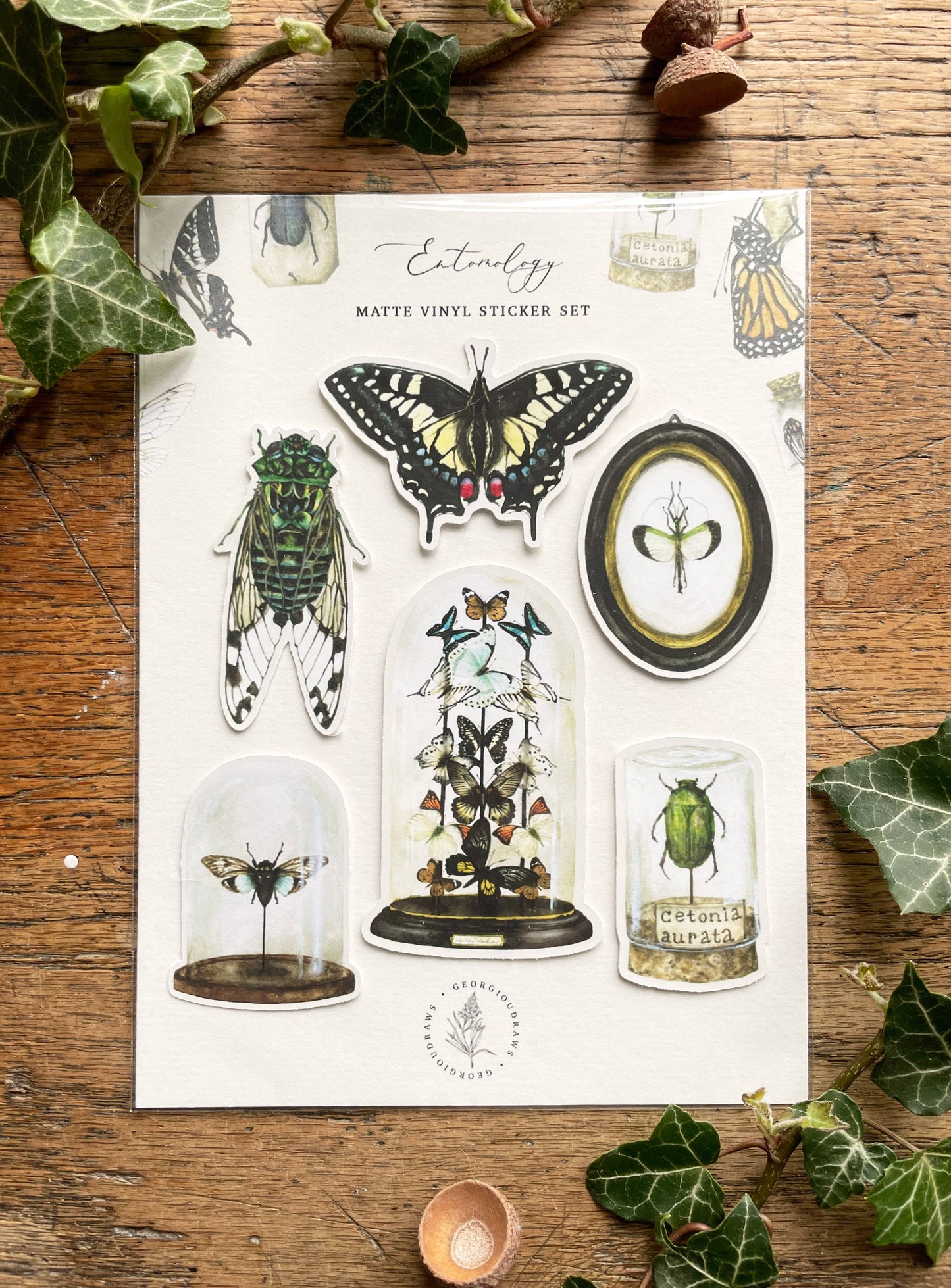 Entomology Matt Vinyl Sticker Set