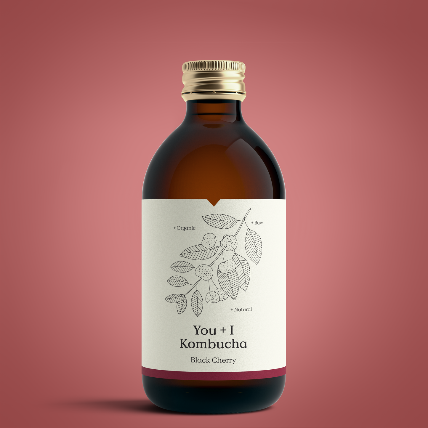 Kombucha (12 x 330ml)