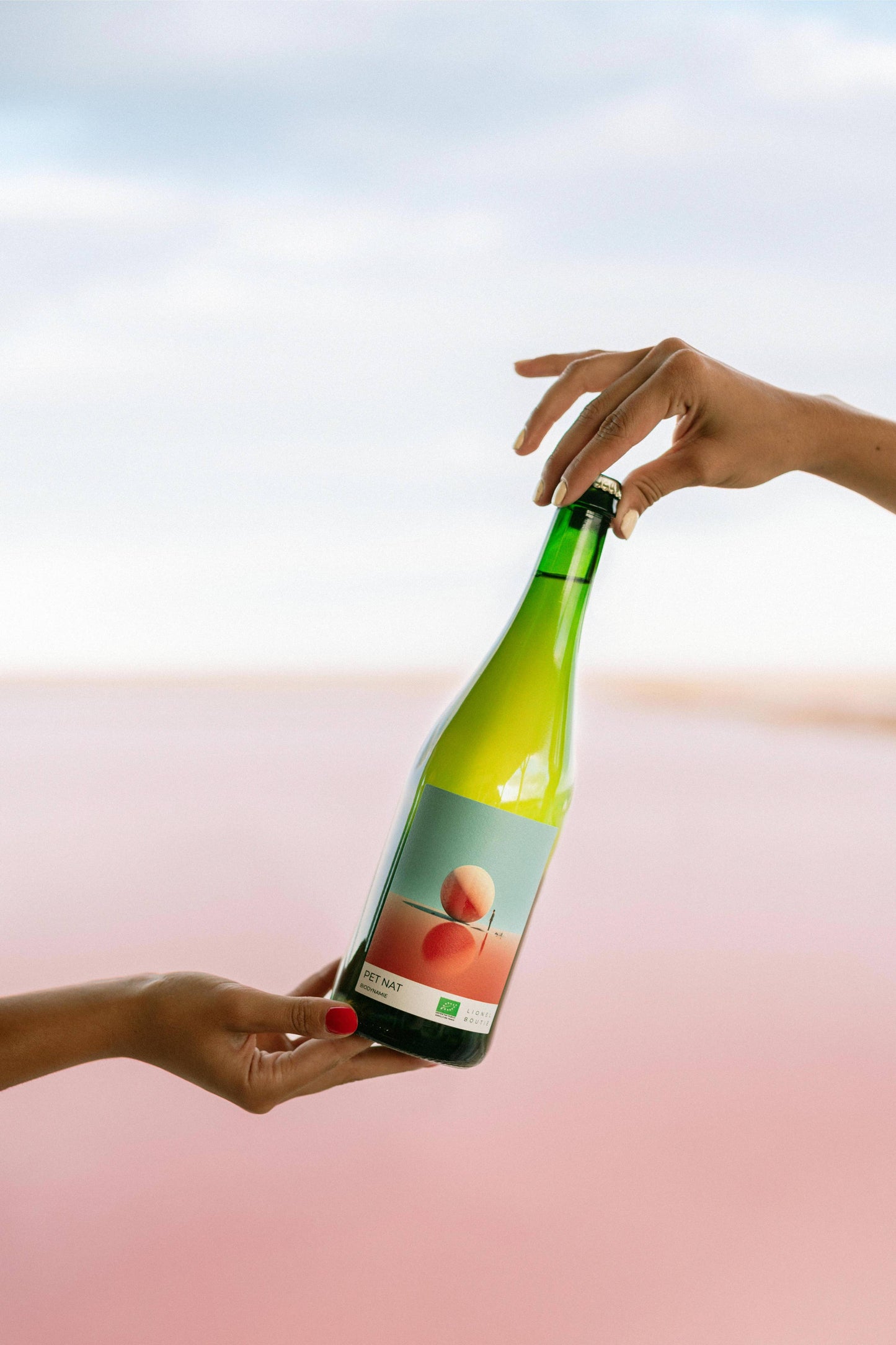 Organic & Natural Wine - Natural Sparkling Wine 2024