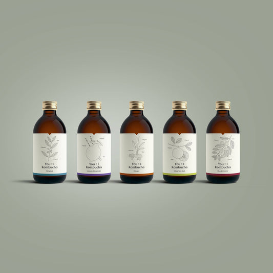 Kombucha (12 x 330ml)