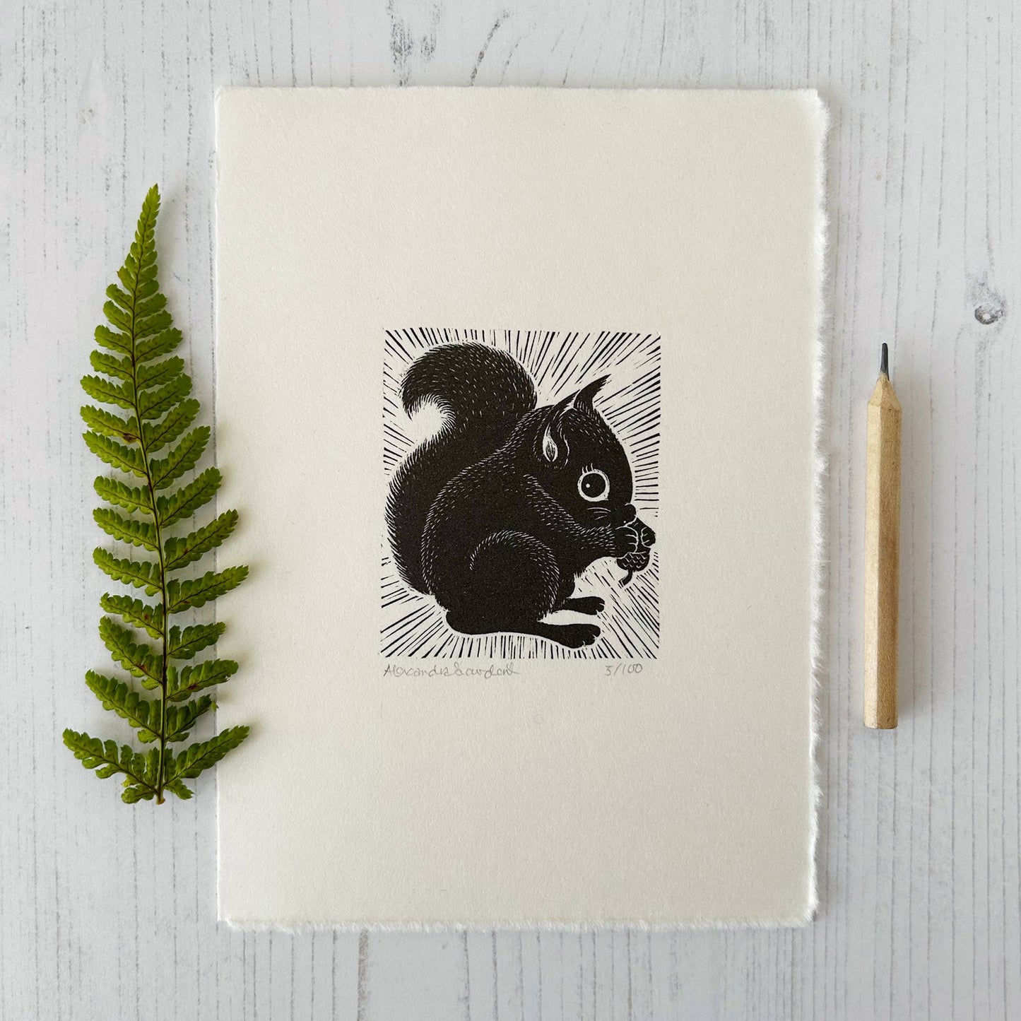 Limited Edition Original Black and White Squirrel Print