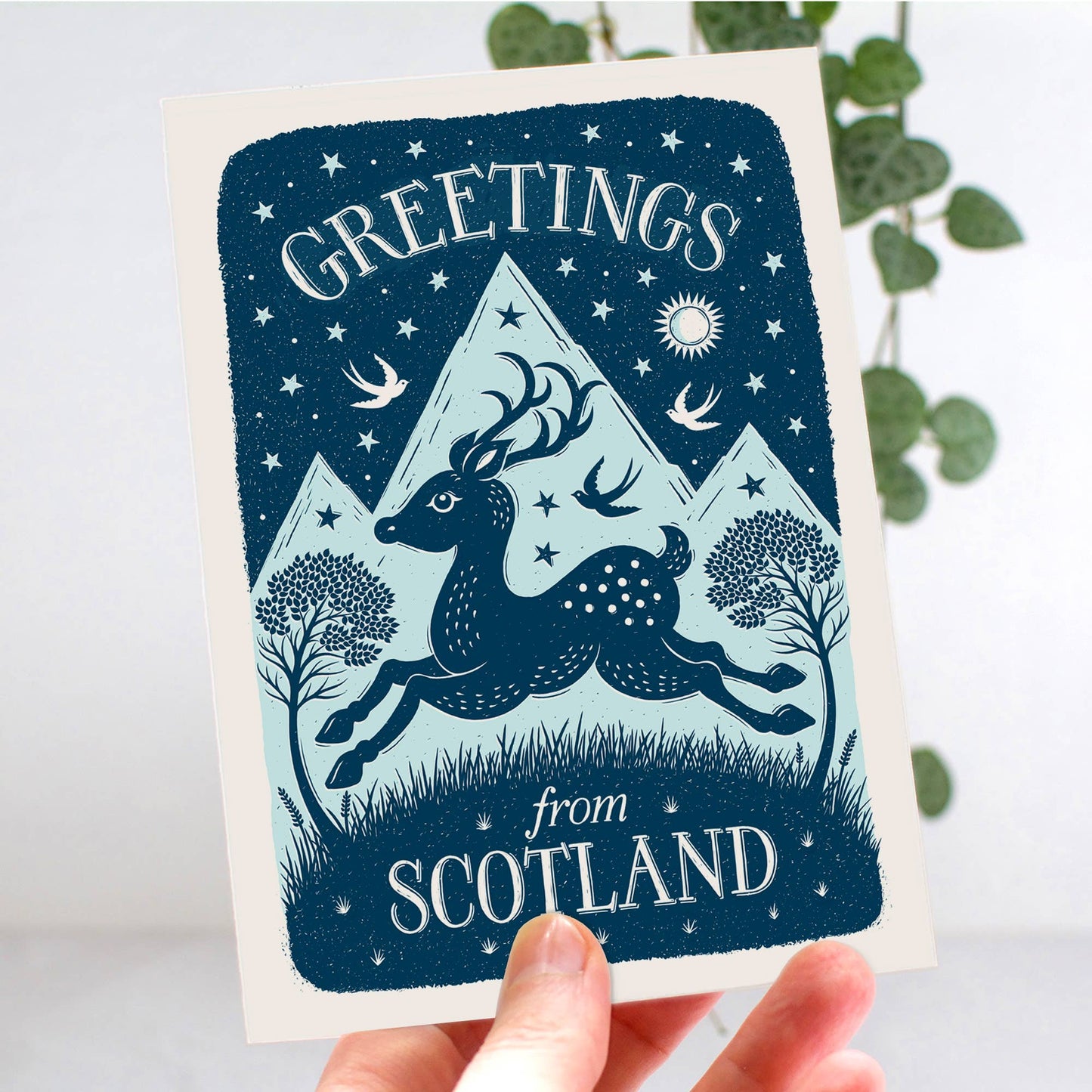 Greetings From Scotland Scottish Deer Card
