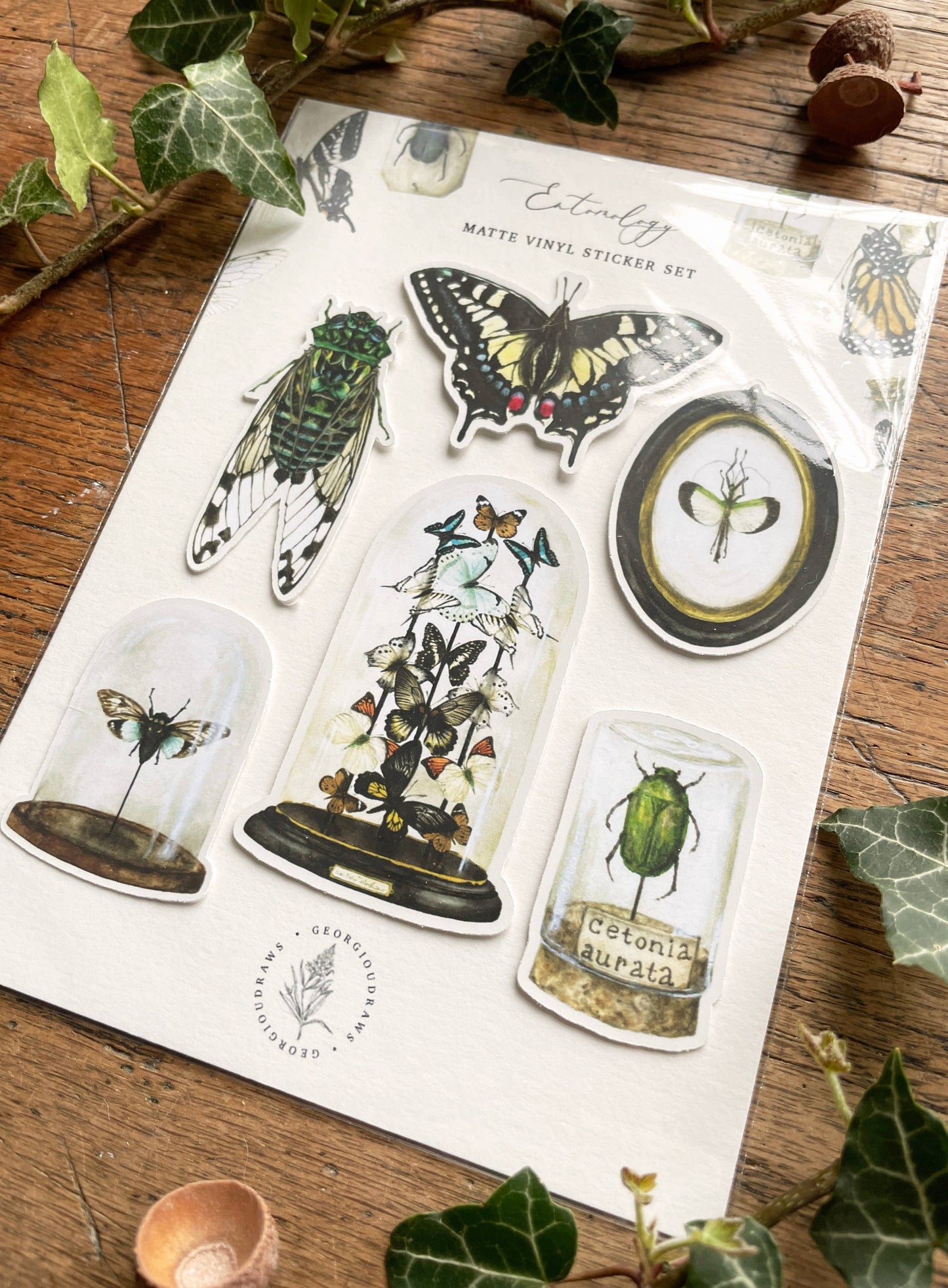 Entomology Matt Vinyl Sticker Set