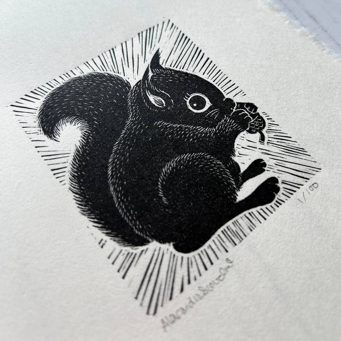Limited Edition Original Black and White Squirrel Print