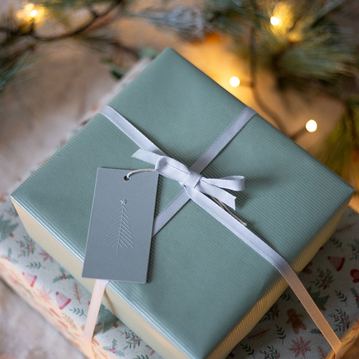 Earth Friendly Gift Wrap