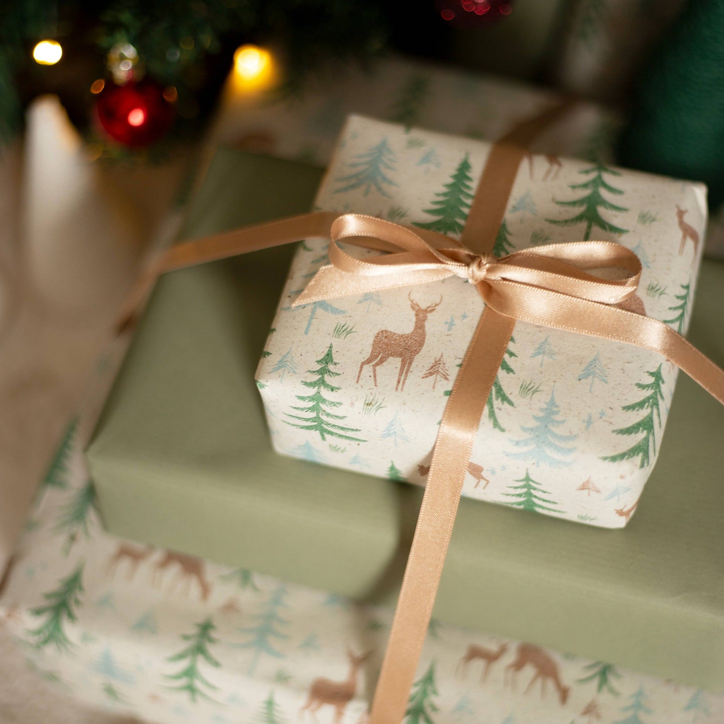 Earth Friendly Gift Wrap