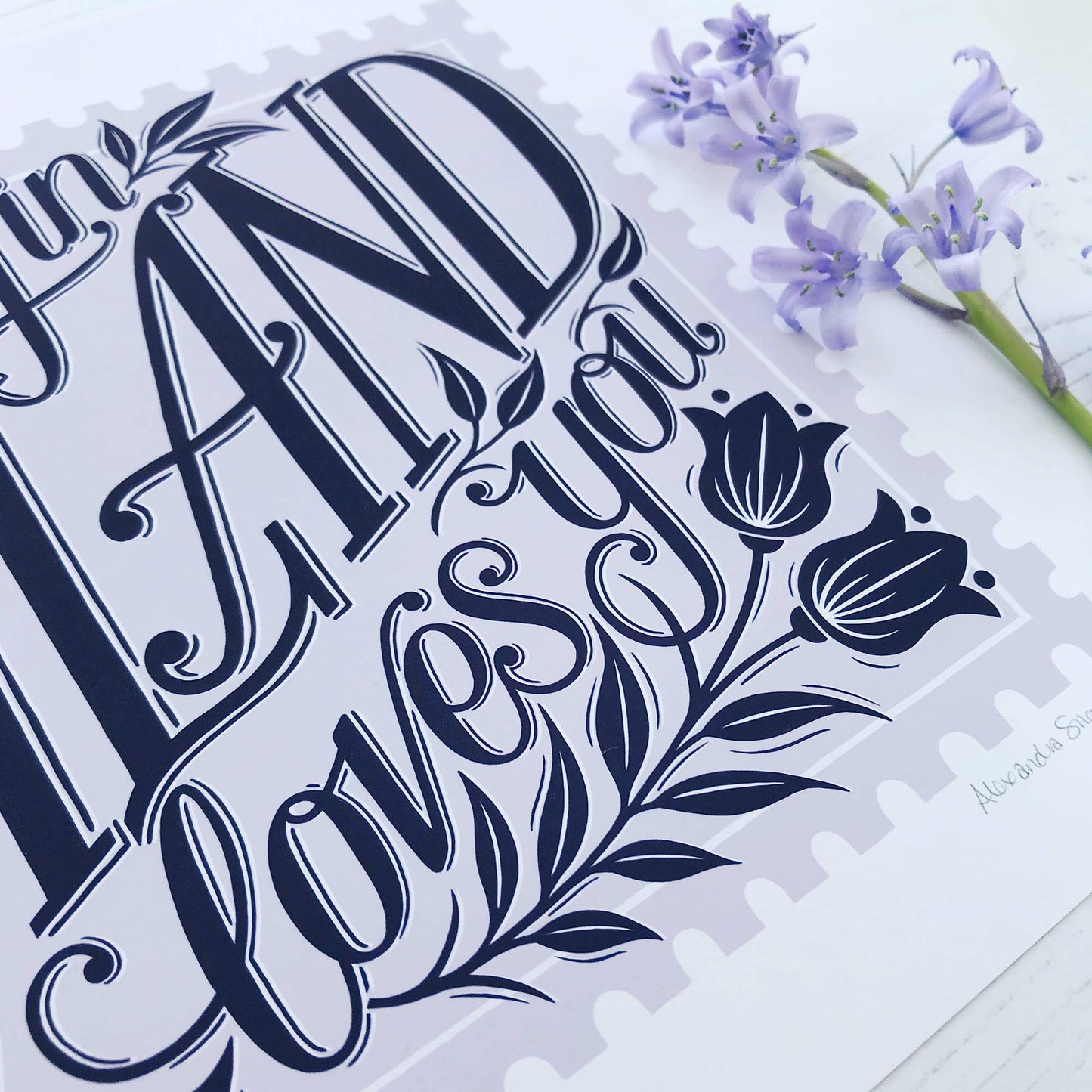 Somebody in Scotland Loves You Postcard