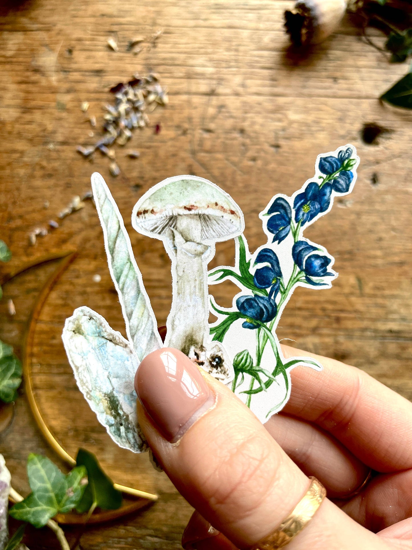 Potion Making Ingredients Matt Vinyl Sticker Set