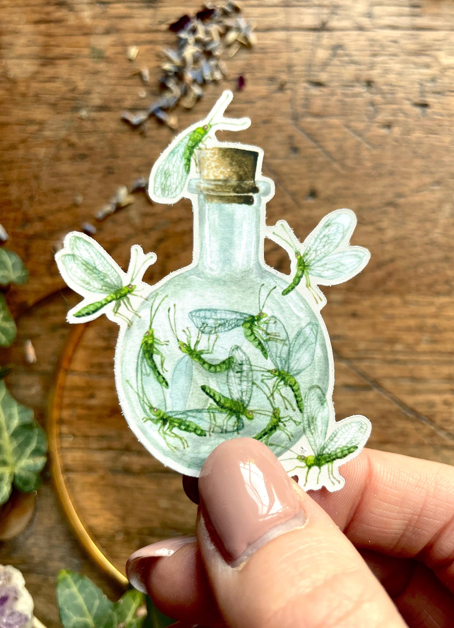 Potion Making Ingredients Matt Vinyl Sticker Set